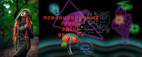 молекула духа Алексин