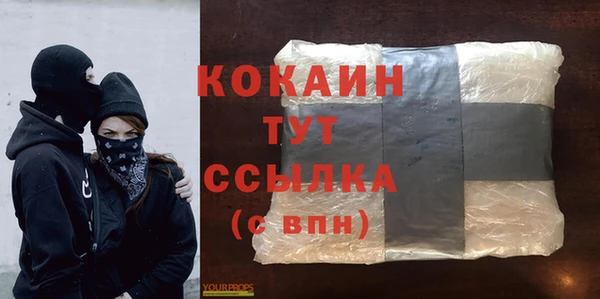 молекула духа Алексин