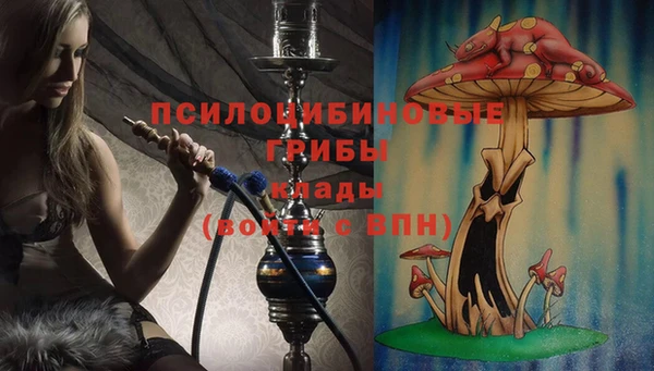 молекула духа Алексин