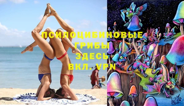 ГАЛЛЮЦИНОГЕННЫЕ ГРИБЫ Алзамай