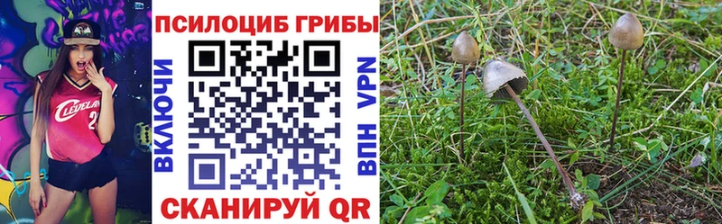 даркнет Telegram  Минусинск  Галлюциногенные грибы ЛСД  даркнет сайт  blacksprut ссылки 