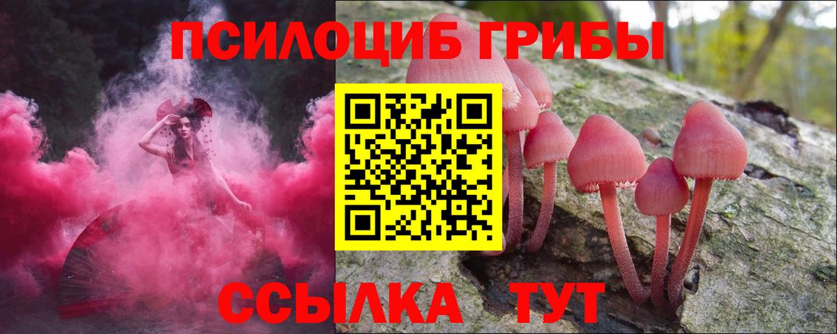 Галлюциногенные грибы Magic Shrooms  Вход с VPN  Минусинск 